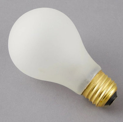 100 WATT A19 BULBS FROSTED